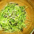 Jaye's cooksnap of when they made 豆苗の海藻サラダ.