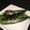 didiko's cooksnap of when they made オクラの塩昆布炒め.
