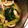 あぃ©'s cooksnap of when they made 分葱のぬた.
