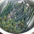sweetroll6's cooksnap of when they made わらびの茹で方（私流）.