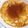 ナナヒカ's cooksnap of when they made ホタテ玉.