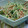 ま ぐ's cooksnap of when they made ごぼうさらだ.
