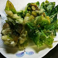 ユーロン's cooksnap of when they made カラッと♪ふきのとう天ぷら.