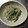 ポコポコライダー's cooksnap of when they made もやしとほうれん草の簡単ツナサラダ☆.