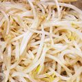 ねじまきどり０１０３'s cooksnap of when they made 簡単☆居酒屋メニュー☆おつまみもやし☆.