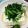 syrup127g's cooksnap of when they made 絶対自信あり！夏に簡単おつまみ☆ニラ豆腐.