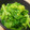 豆と麦's cooksnap of when they made 菜の花のからし和え.
