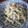 ゆいランラン's cooksnap of when they made ★もやしのお茶漬け炒め★.