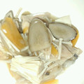 レインボーー's cooksnap of when they made 簡単♪　蓮根 きのこ 鶏肉の　とろみ煮！.