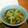 ぽんこ♡'s cooksnap of when they made 青梗菜と豚肉の中華風炒め.