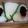 watyami's cooksnap of when they made 特製＊梅かつお.