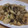 きらり流れ星's cooksnap of when they made 鶏ときのこのこんがりぽん炒め.