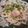 ゆり1001's cooksnap of when they made ☆れんこんと豚肉の蒸し焼き☆.