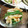 megumage's cooksnap of when they made インゲンとちくわの胡麻和え.