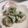 2525招き猫's cooksnap of when they made ほうれん草シューマイ.