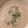 ai10ai21's cooksnap of when they made レストランの濃厚キノコのクリームスープ！.