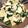ワシワシローズ's cooksnap of when they made 旬のたけのこと葉玉ねぎの卵とじ.