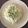 はなつこなつこ's cooksnap of when they made ◆枝豆のチーズクリームパスタ◆.