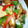 のりぴー！'s cooksnap of when they made ＊鶏肉と旬の野菜のトウチジャン炒め＊.