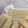 たまねぎ大好き's cooksnap of when they made 濃厚アイス　豆乳とヨーグルトで＊.