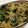 yuzurisa's cooksnap of when they made 春の旬な食材★あさりと菜の花のパスタ.