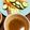 はやしふ's cooksnap of when they made 簡単★和風バーニャカウダ.