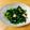 ひゅうよし's cooksnap of when they made 春♪菜の花と焼き椎茸のからしあえ.