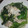 天使のみうちゃん's cooksnap of when they made 塩コショウで食べる豚とほうれん草.