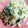 ★ダーリンオンリー★'s cooksnap of when they made もやしとほうれん草の簡単ツナサラダ☆.