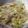 kira_pika1's cooksnap of when they made もやしのごま油あえ.
