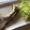 ぴっぴっぴー。's cooksnap of when they made 骨まで食べる鯵の煮付け.