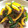 デークス's cooksnap of when they made 簡単☆牛こまのオイスターソース炒め★.
