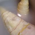 のぉママ's cooksnap of when they made 竹の子の選び方・あく抜き～春が旬の若竹～.