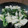 Pinky2003's cooksnap of when they made 豆腐とわけぎの炒め物.