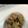 かおりんぱんだ's cooksnap of when they made 鶏肉と蓮根と長葱の香ばし炒め.