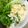 クックL5BPAQ☆'s cooksnap of when they made レンジだけ10分完成！簡単ポテトサラダ.