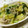 のんのんSTELLA's cooksnap of when they made もつ鍋風さっと煮.
