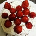 エグザｹｲｼﾞ's cooksnap of when they made ☆ココアのスポンジケーキ☆簡単ふわふわ♪.