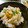 ふらん1000％'s cooksnap of when they made ちょい贅沢！エゾアワビの炊き込みご飯.