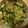 じゅんぴぃ～'s cooksnap of when they made 山形だしの玉子とろろかけ.