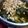 あもんあもん's cooksnap of when they made 納豆トロロ昆布スープ.