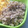 hosipee's cooksnap of when they made 1番簡単☆鶏そぼろ.