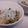 こてたす's cooksnap of when they made 簡単！炊くだけひじきご飯.