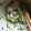 ぽる＊'s cooksnap of when they made 切り干し大根と豆苗のサラダ♡.