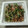 めぐ＊ぴぃ's cooksnap of when they made 毎日の納豆●かつお節＆豆苗添え.