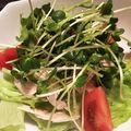 9vanilla's cooksnap of when they made ダイエットメニュー☆鳥ささみサラダ.