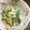 こじぴー's cooksnap of when they made コマツナサラダ.