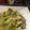 ▼玲緒にゃん's cooksnap of when they made 鶏胸肉とアボガドの味噌炒め.