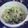 ★ゆってぃ☆彡's cooksnap of when they made 水菜としめじのチーズパスタ.