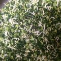 あみりん☆りん's cooksnap of when they made 大根の葉のナムル風ふりかけ.